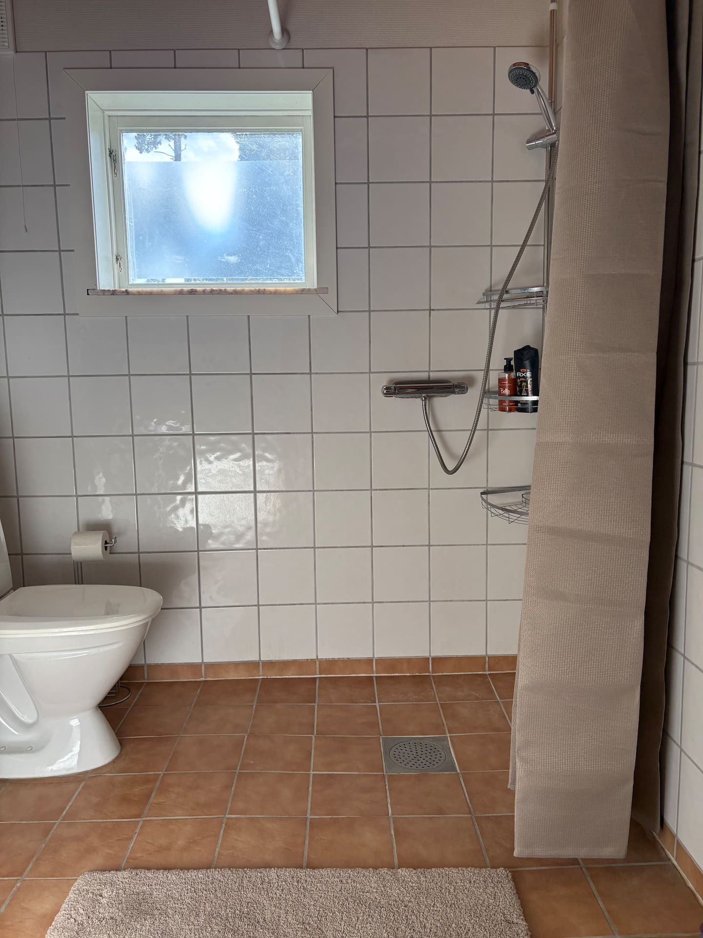 Second bathroom with shower