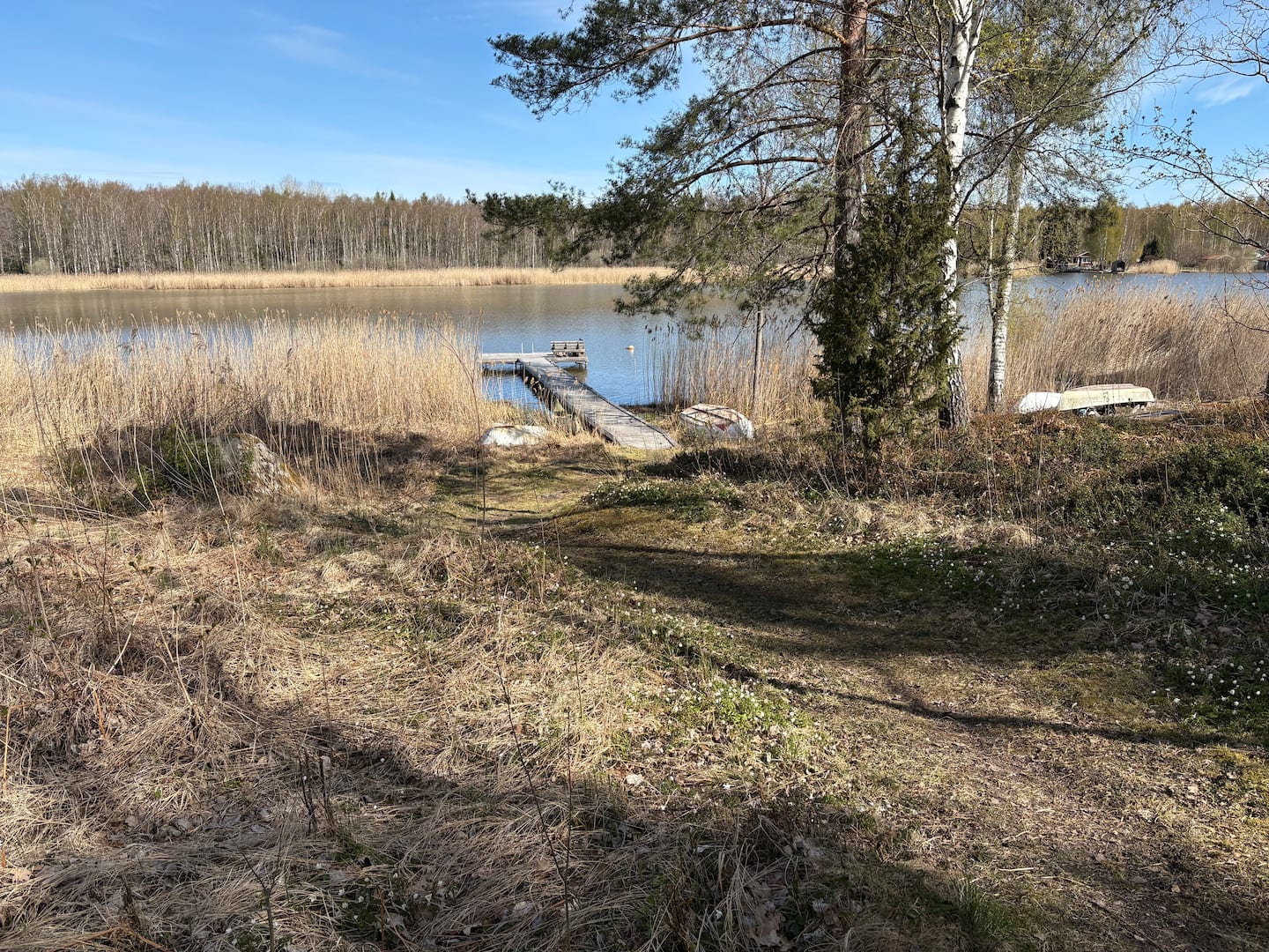 Shoreline near the house