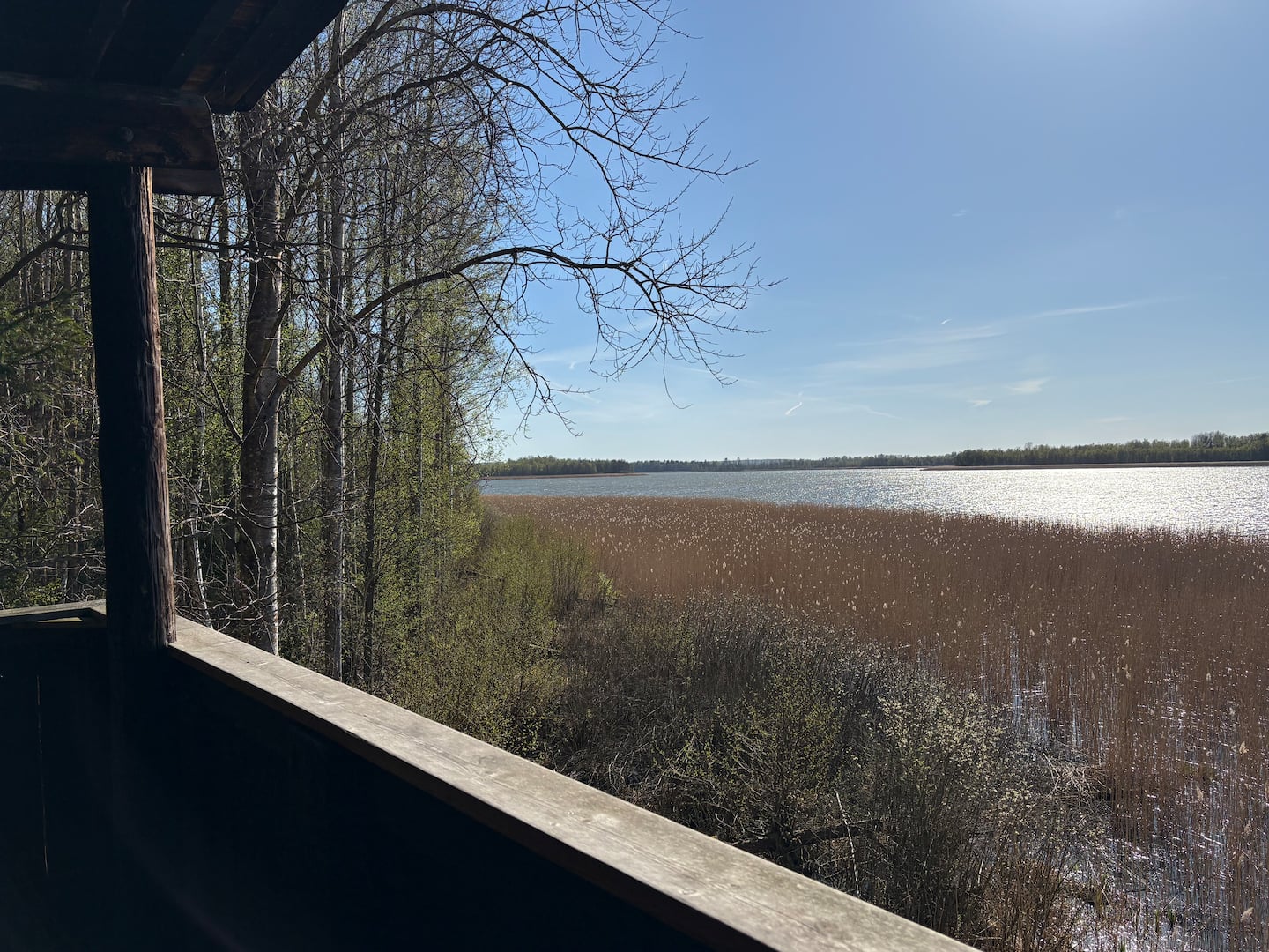View from the bird-watching tower