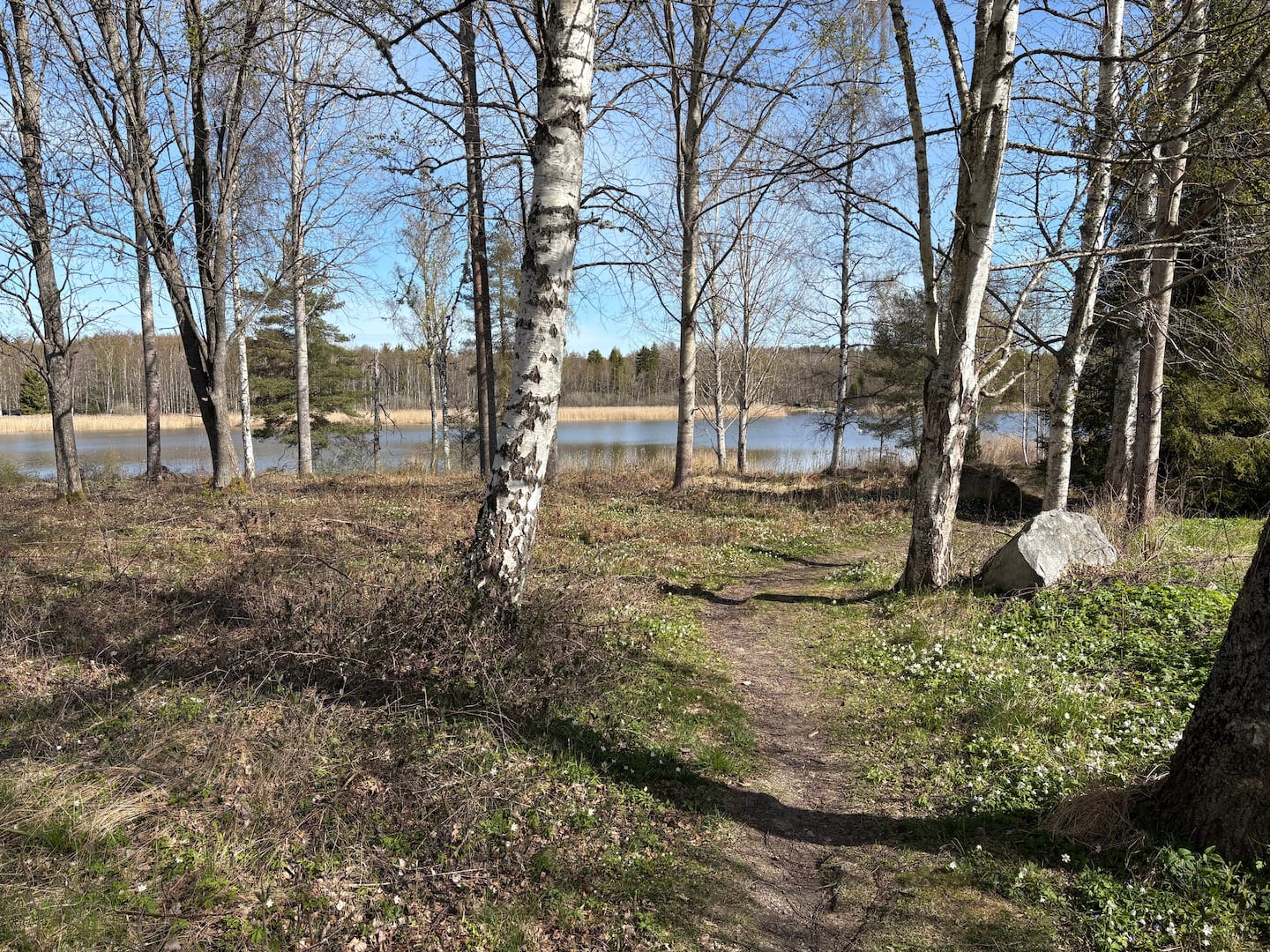 The path down towards the water